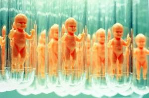 Французским лесбиянкам запретили искусственное оплодотворение