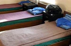 Рижские приюты работают в круглосуточном режиме