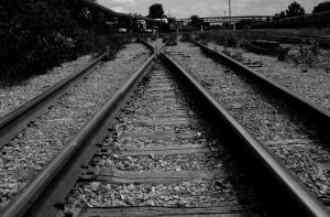 На рельсы между Ригой и Скулте упало дерево