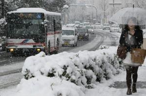 От снегопадов в Японии пострадали 900 человек