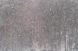 В Канаде из-за снегопада столкнулись 60 машин