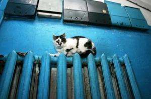 Газета: жители в ужасе от счетов за отопление