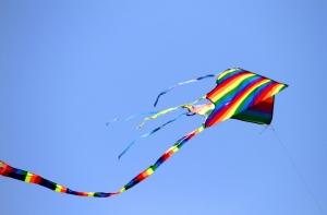 Мужчина с воздушным змеем напугал прохожих