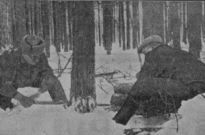 19 февраля в истории Латвии: кто в лес, кто по дрова