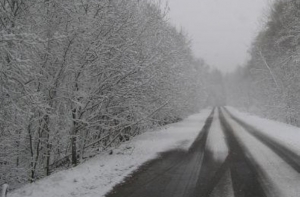 Работу Рижской думы положительно оценивают большинство рижан