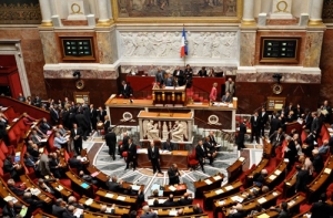 Парламент Франции одобрил закон об однополых браках