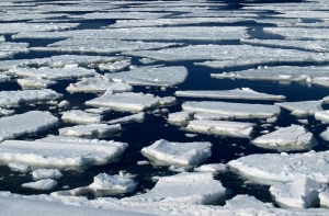 Мальчик бросил друга, провалившегося под лед