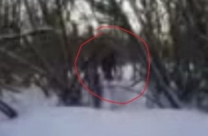 Кемеровские школьники засняли на видео снежного человека (ВИДЕО)