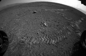 На Марсе нашли окаменелый скелет