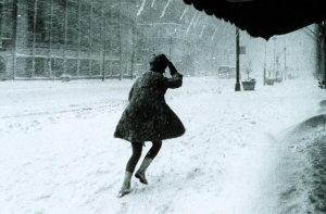 Число жертв урагана «Немо» в США достигло восьми человек