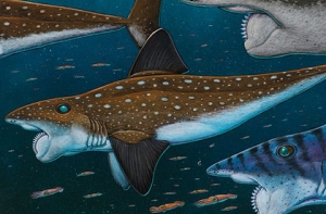 Палеонтологи восстановили облик рыбы - циркулярной пилы