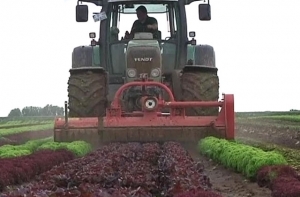 СЗК требует у правительства компенсировать фермерам 327 млн латов