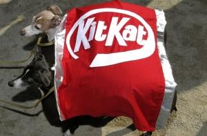 В шоколадках KitKat обнаружили пластмассу