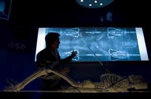 Туринская плащаница дебютирует на медиаплатформах