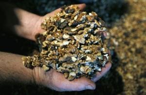 Продукты с цинком избавят от депрессии