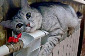 Долги рижан за отопление достигли рекорда