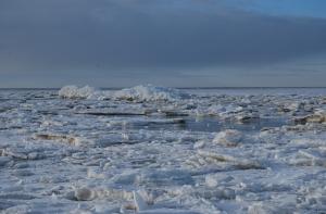 В Рижском заливе ЧП: в море уносит две льдины, на которых находятся более 500 человек (АУДИО)