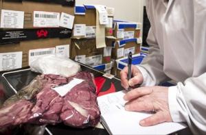 Конина обнаружена в Словакии в говяжьих бургерах