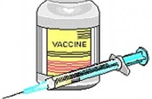 Ученые из Австралии создадут единую вакцину от гриппа