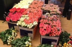 Ушаков поздравит коллег по Рижской думе розами