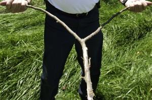 Ученые раскрыли секрет «ведьминых кругов» на полях