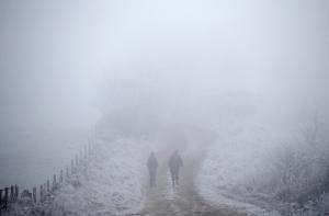 ОСТОРОЖНО: на дорогах Латвии густой туман