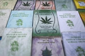 В Чехии аптеки начали продажу марихуаны