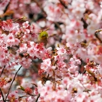 Японии намекнули на снижение кредитного рейтинга