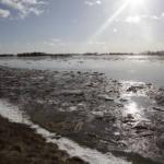 До критической границы уровня воды в Даугавпилсе осталось меньше метра