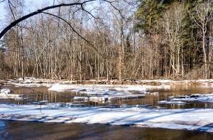 В реках Латвии стремительно растет уровень воды