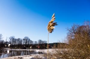 Под Даугавпилсом паводок отрезал от внешнего мира 50 человек