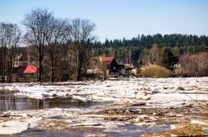 На Венте прошел лед