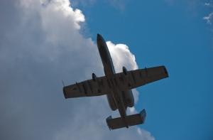 Истребитель НАТО после столкновения с птицей был вынужден приземлиться в Таллине