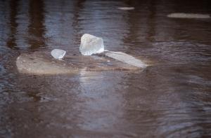 Наводнение в Царникавском крае пошло на убыль