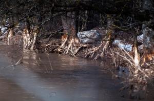 Наводнение продолжается: затоплены Ливаны