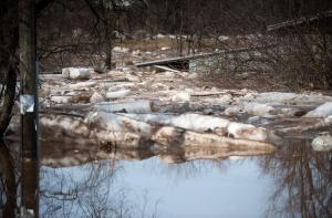 В местах затоплений спасают выпавших из лодки людей