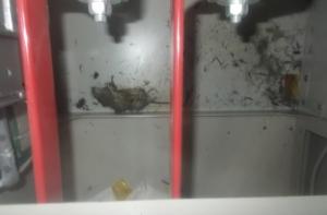 На «Фукусиме» могло дать течь еще одно хранилище