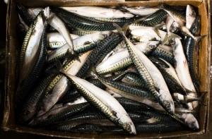 Рыбоконсервное предприятие Brīvais vilnis бьет все рекорды по прибыли