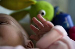 В результате искусственного оплодотворения на свет появятся 16 детей