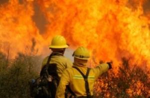 В Латвии активизировались поджигатели травы