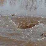 Видео латвийца с водоворотом стало сенсацией в YouTube (ВИДЕО)