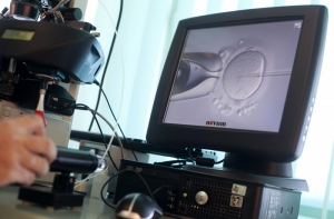 Замедленная съемка поможет искусственному оплодотворению