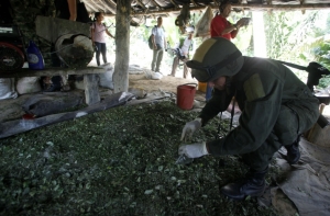 Россия и США уничтожили четыре нарколаборатории в Афганистане