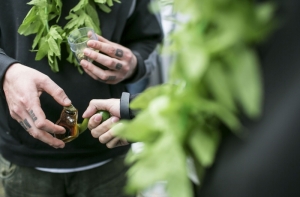 В Испании изъяли крупнейшую в истории страны партию гашиша