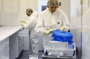 Ученые обнаружили первые «полезные» вирусы