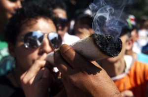 Правительство Грузии озаботилось легализацией марихуаны