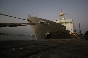 В результате пожара на судне в японском порту погибли шесть человек