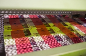 В Пардаугаве похитили сейф с 20-ю тысячами