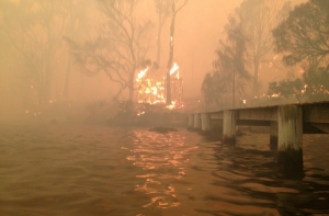 В лесах на юго-востоке Латвии - повышенная пожароопасность