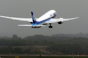 Лобовое стекло летевшего из Анапы лайнера треснуло из-за птицы